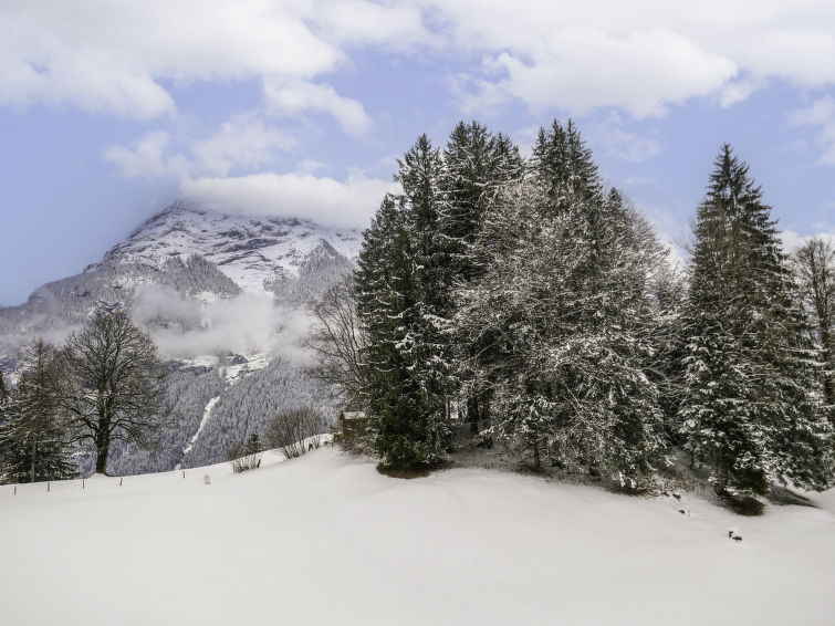 Photo of Chalet Grindelwaldgletscher