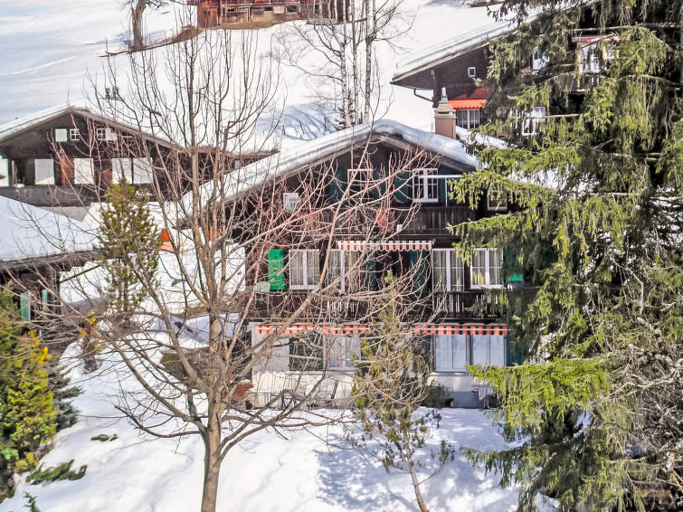 Ferienwohnung Chalet Spassvogel