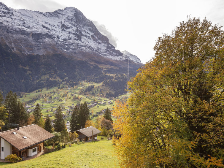 Chalet uf Duft Apartment in Grindelwald