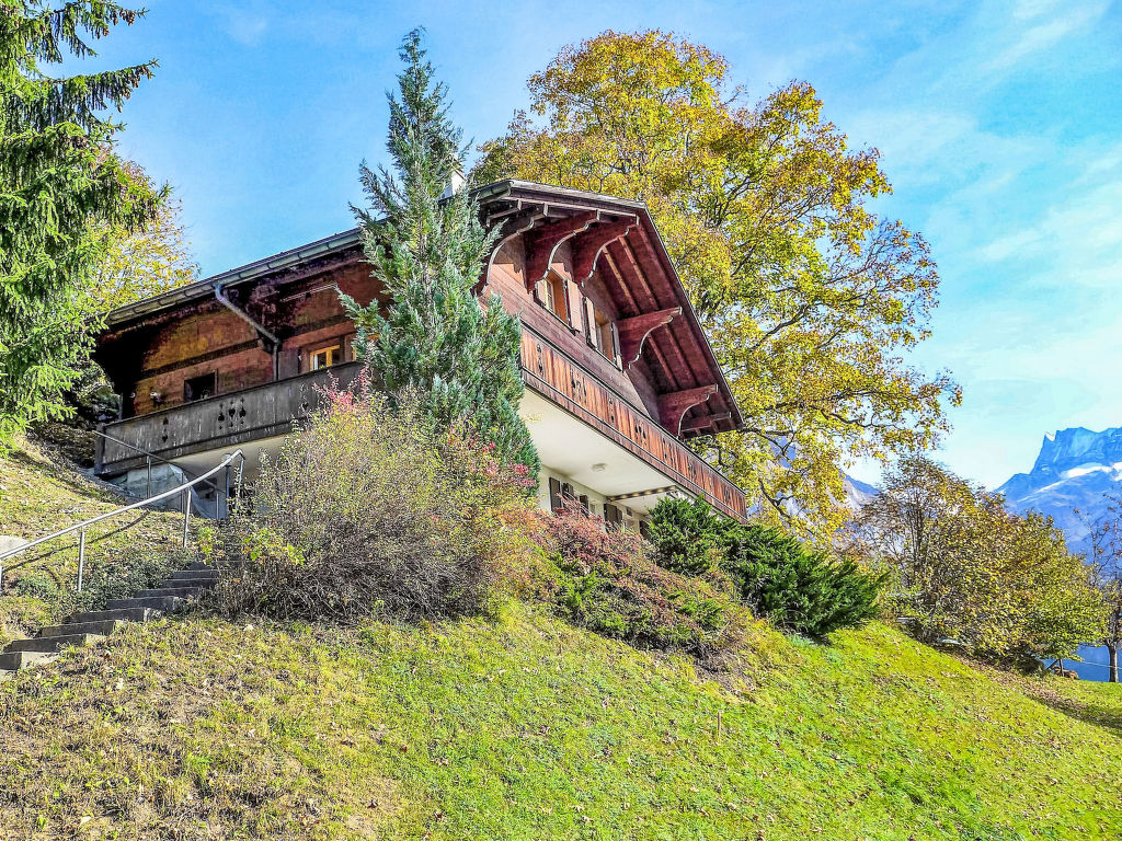 Appartement Chalet Hobelbank in Zwitserland