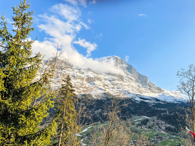 Photo of Chalet Tannengüetli