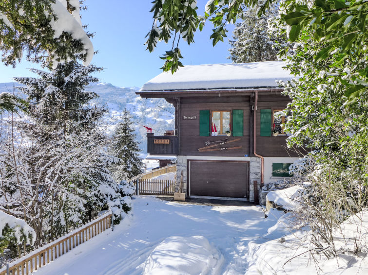 Photo of Chalet Tannengüetli