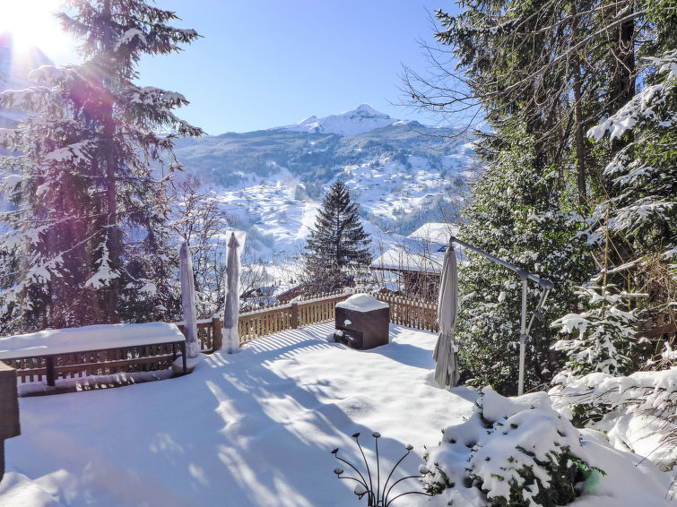 Photo of Chalet Tannengüetli