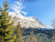 Ferienhaus Chalet Tannengüetli