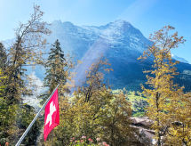 Ferienhaus Chalet Tannengüetli