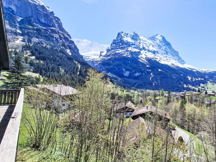 Photo of Egg-Isch