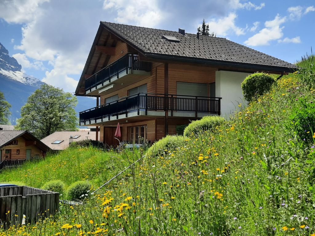 Appartement Steinbilla in Zwitserland
