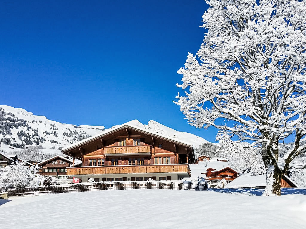 Ferienwohnung Lohnerhus Ferienwohnung  Grindelwald