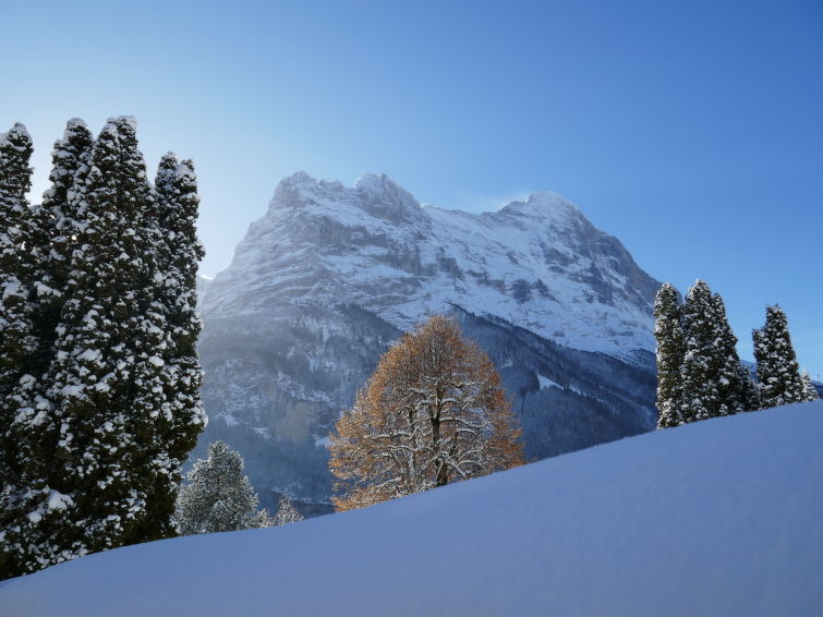 Photo of Chalet Wyssefluh