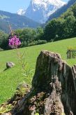 Vrijstaand chalet Alpen-Paradies met jacuzzi en uitzicht op de Eiger in Grindelwald - thumbnail 3