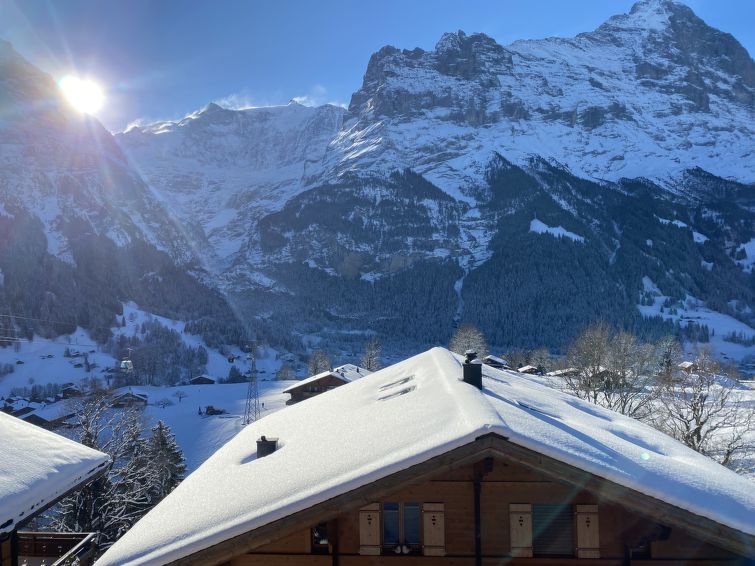 Chalet Snowflake Apartment in Grindelwald