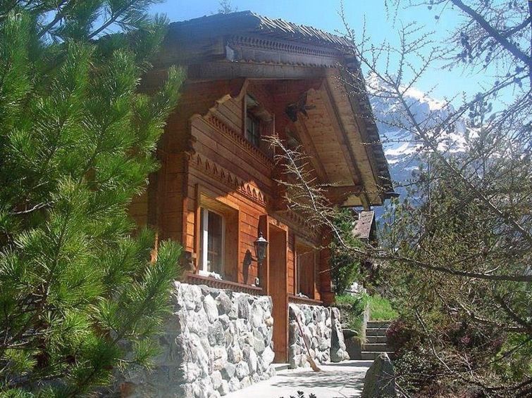 Adler 2 Bett Wohnung - Grindelwald