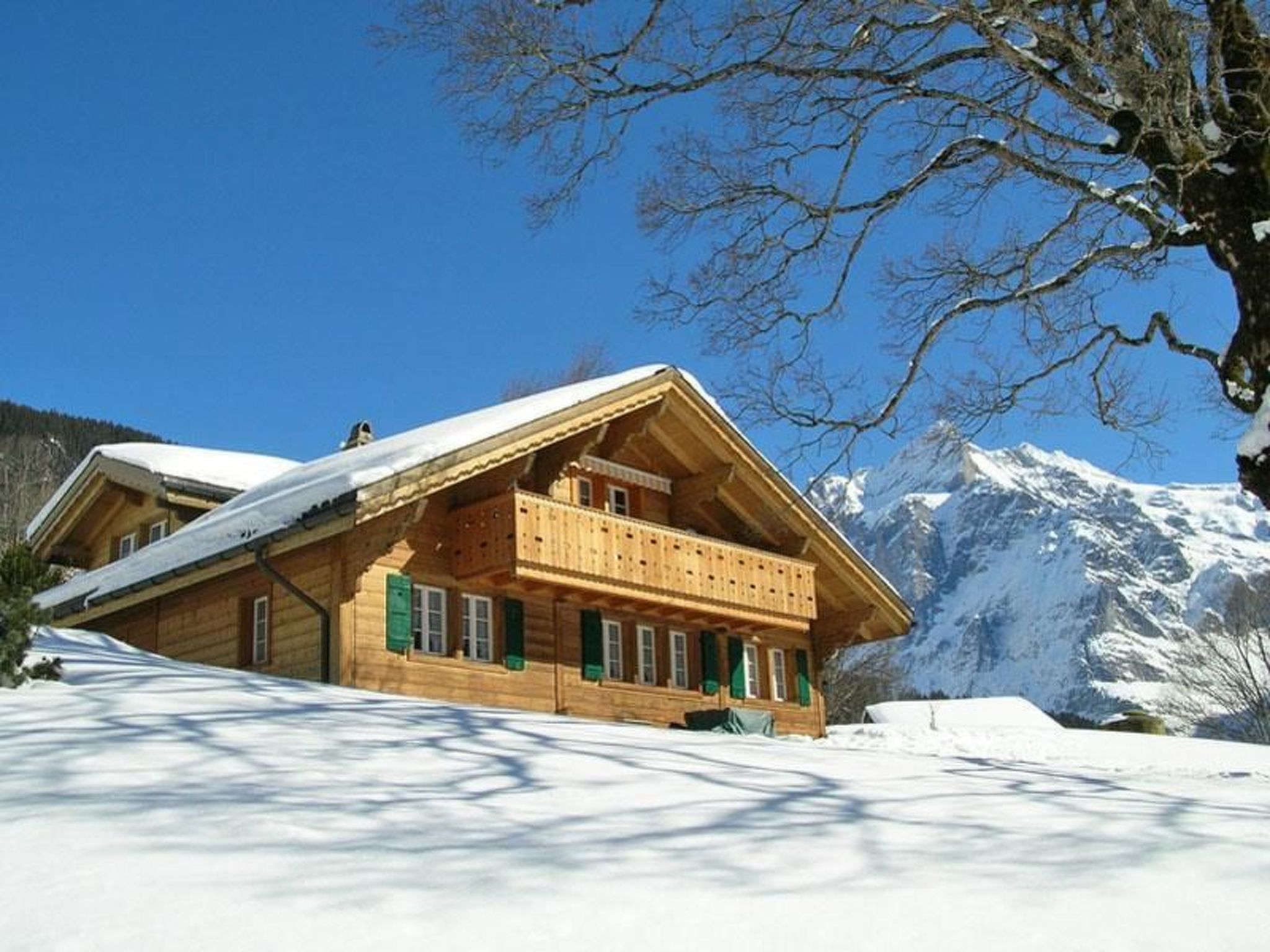 Chalet Herrschaft 4 Bett Wohnung Chalet in Grindelwald