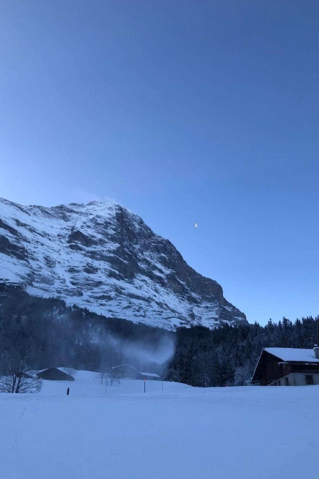Photo of ChaletSwissalp Topof