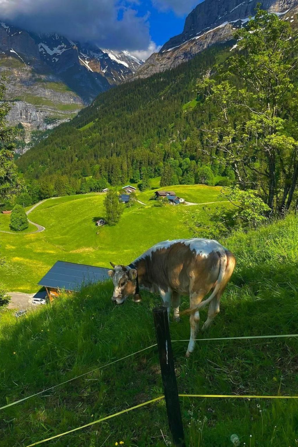 Photo of ChaletSwissalp Topof