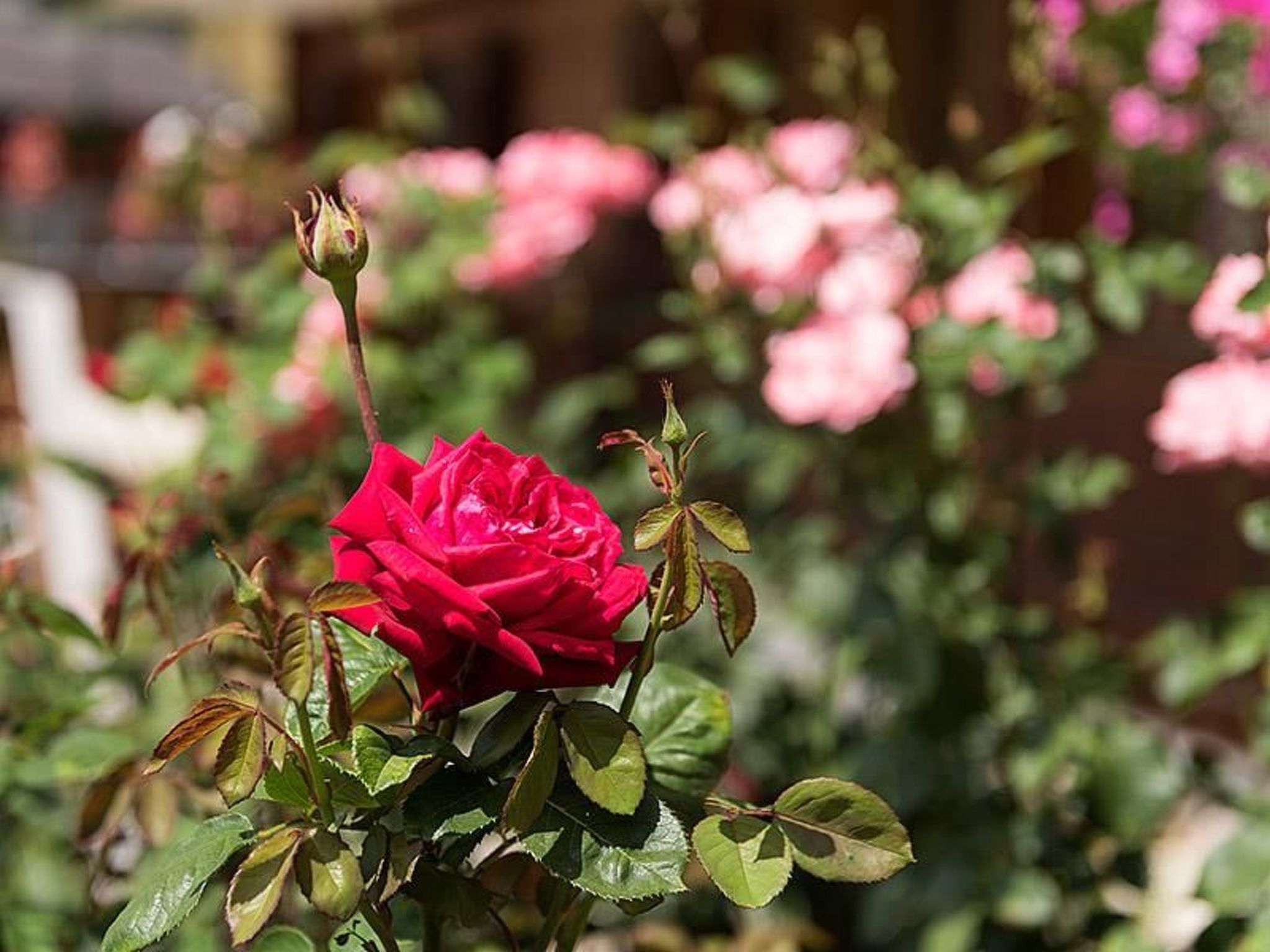Photo of Appartement mit Bergblick