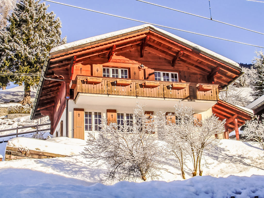 Ferienhaus Chalet Reinhysi Ferienhaus  Grindelwald