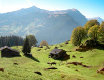 Lomahuoneisto Chalet Albi