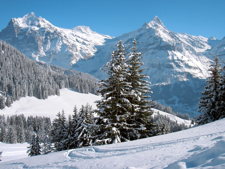 Wychel Chalet in Grindelwald