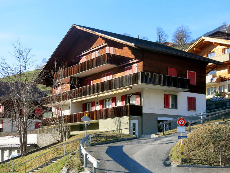 Chalet Desirée Apartment in Grindelwald