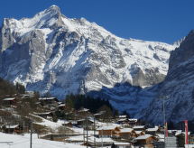 Ferienwohnung Chalet Desirée