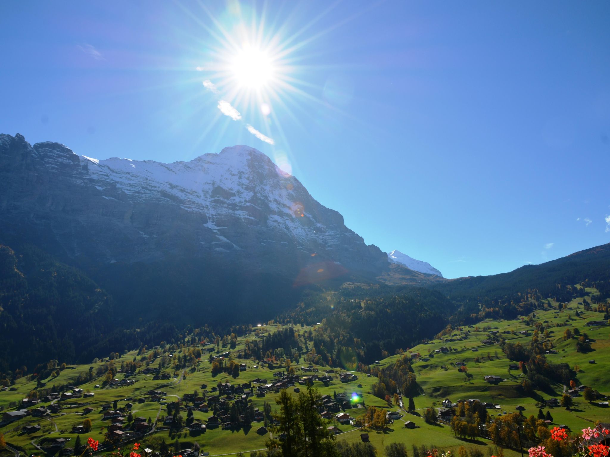 Photo of Apartment Bärgrose