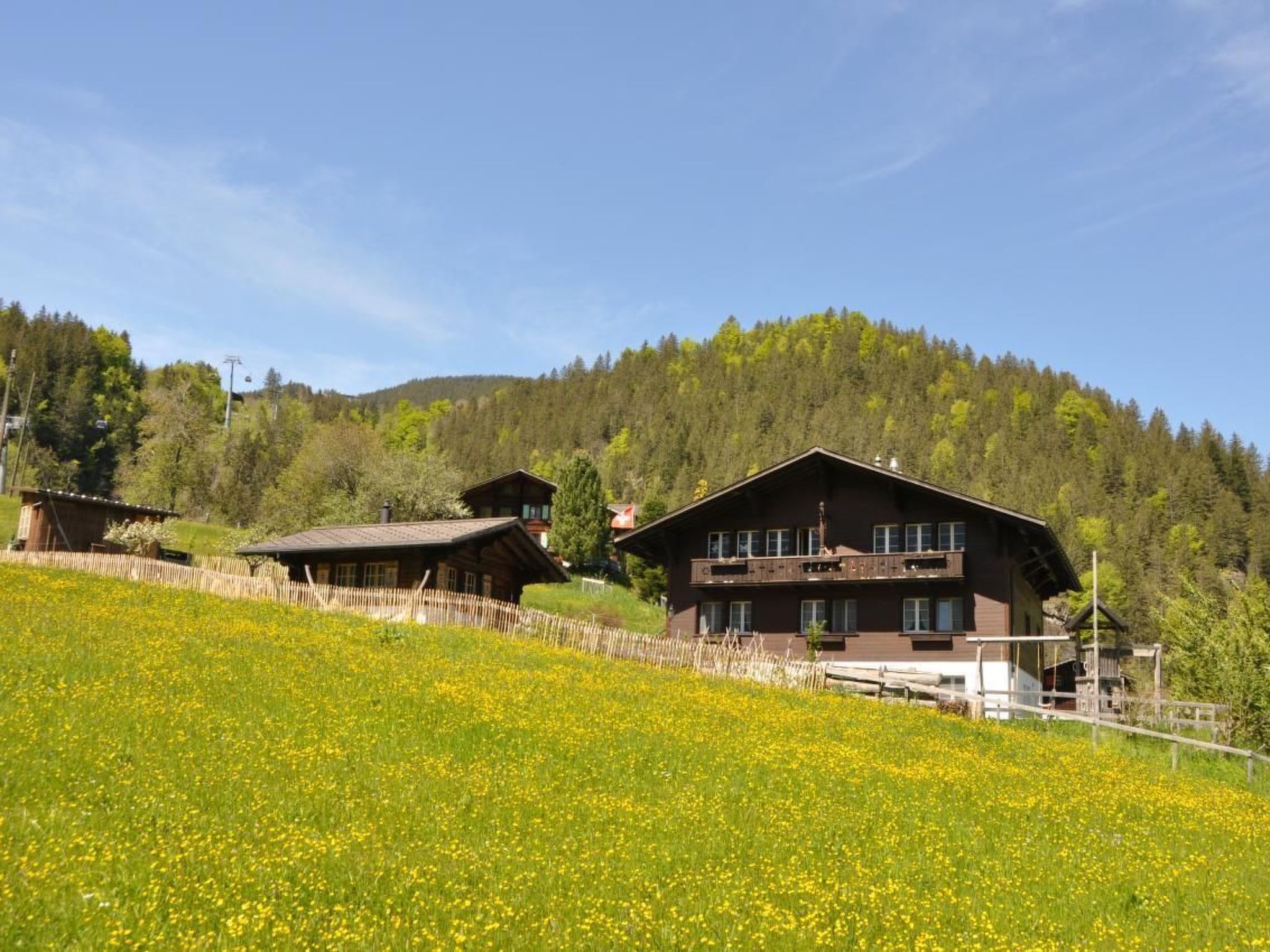 im Chalet Adelheid Chalet in Grindelwald