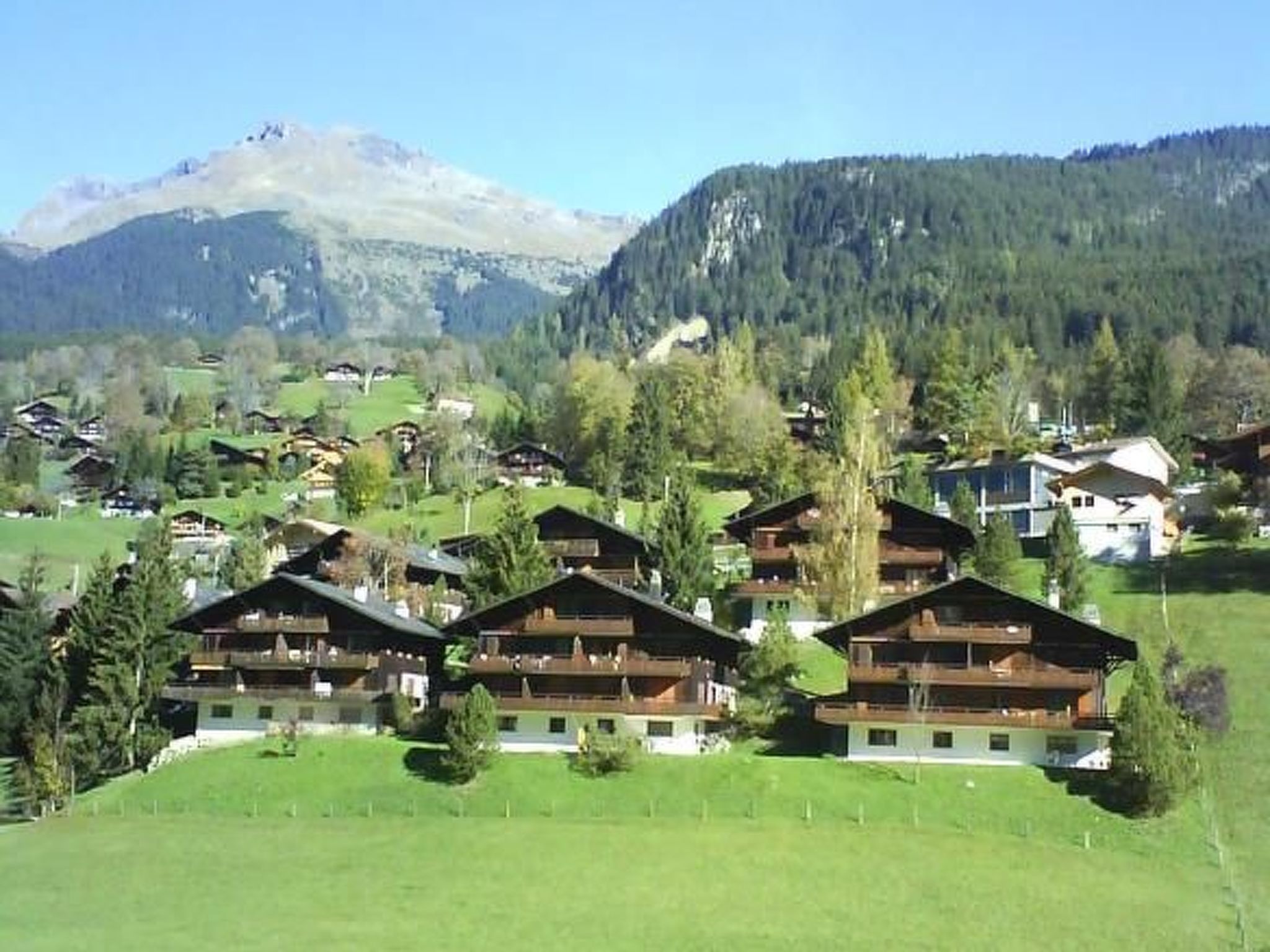 Bijou Accommodation in Grindelwald