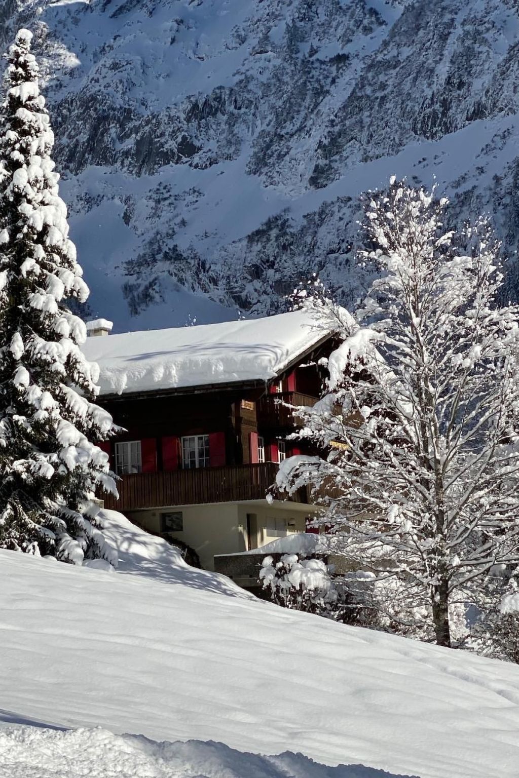 Nora 5 Bett Wohnung Villa in Grindelwald