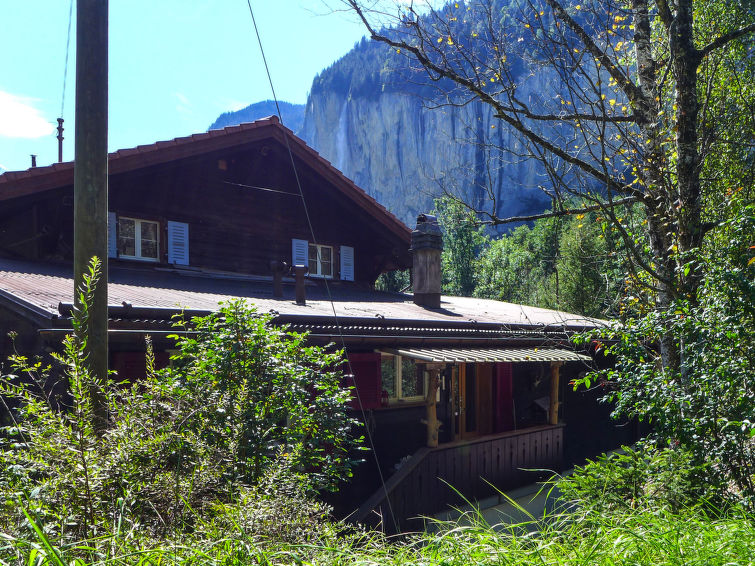 Photo of Stocki