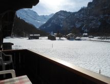 Lengwaldwohnung 285: Chalet in Berner Oberland met panoramisch uitzicht - thumbnail 3