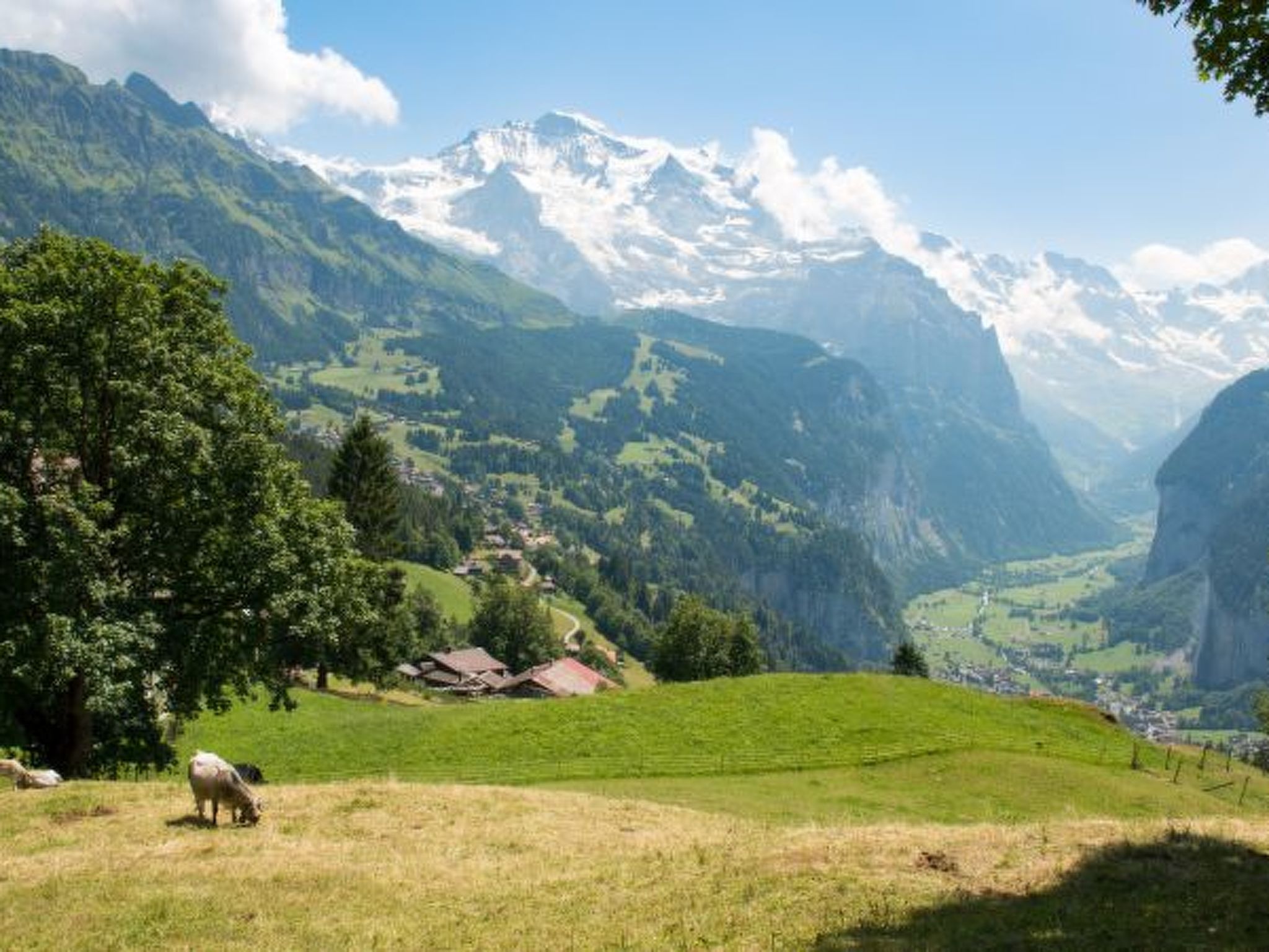 Photo of Chalet Hunnenfluh Garden Apartment