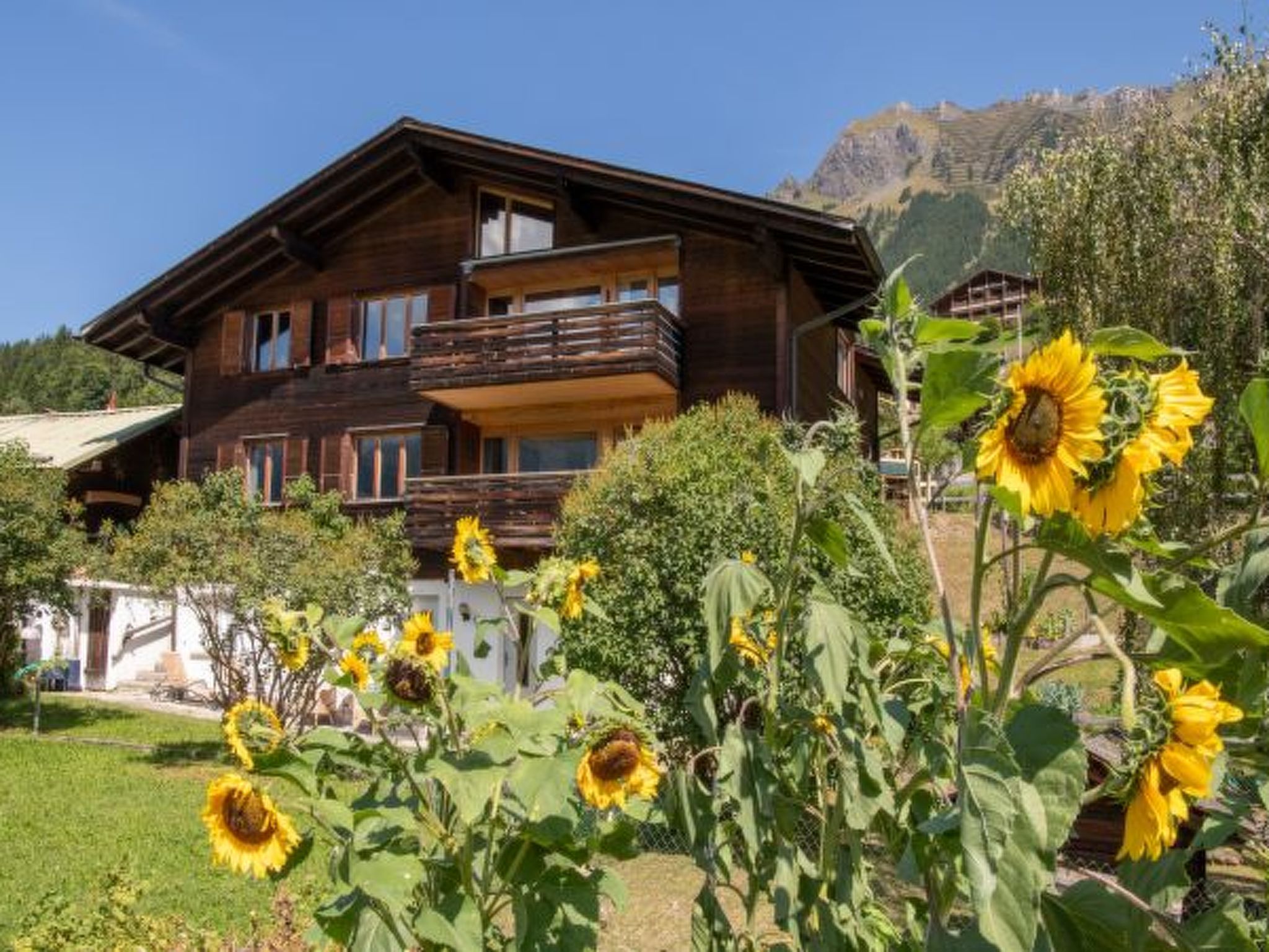 Photo of Chalet Iris