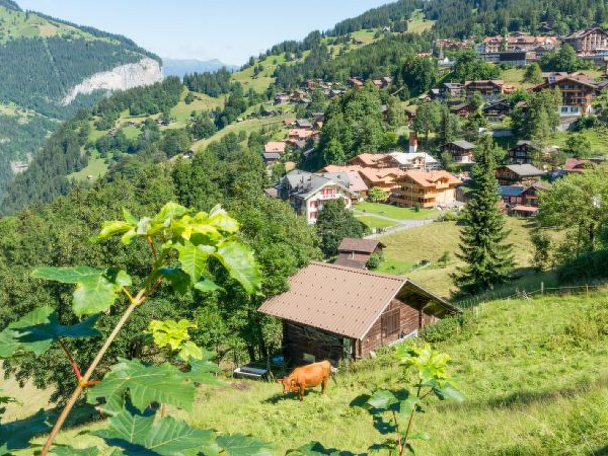 Photo of Panoramapark Soleil Camelia Apt. Silverpeak