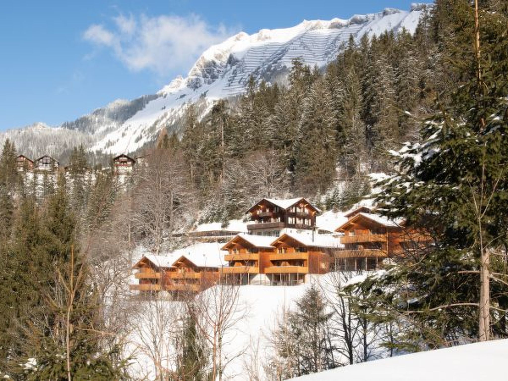 Photo of Racers Retreat 5