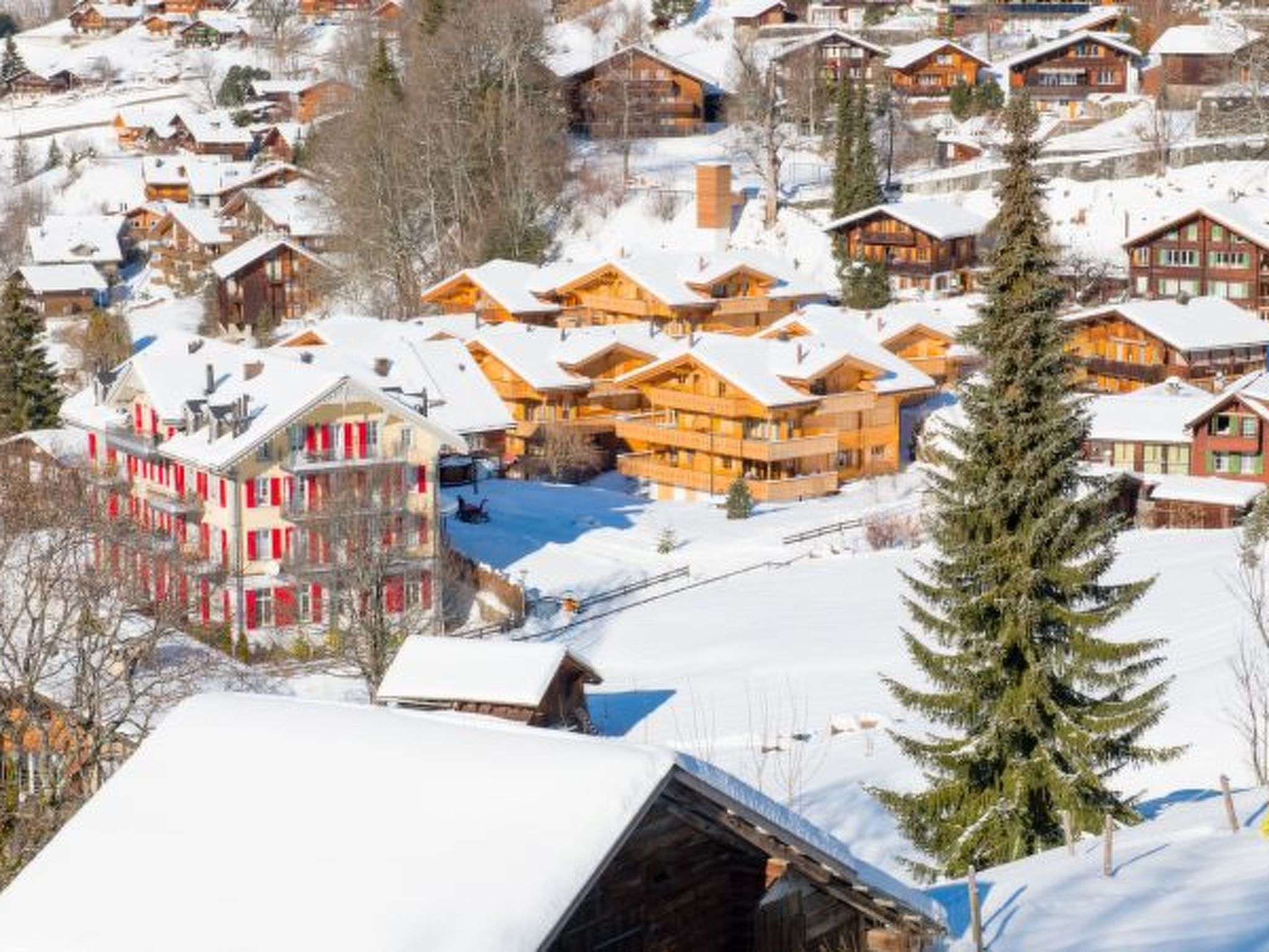 Photo of Panoramapark Soleil Camelia Apt. Akroyd