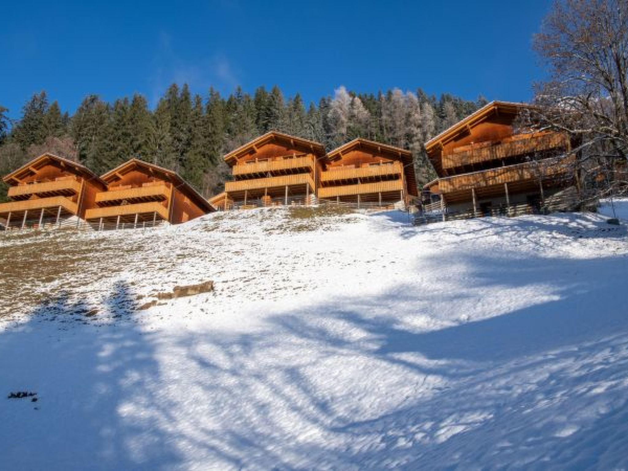 Photo of Racers Retreat 10