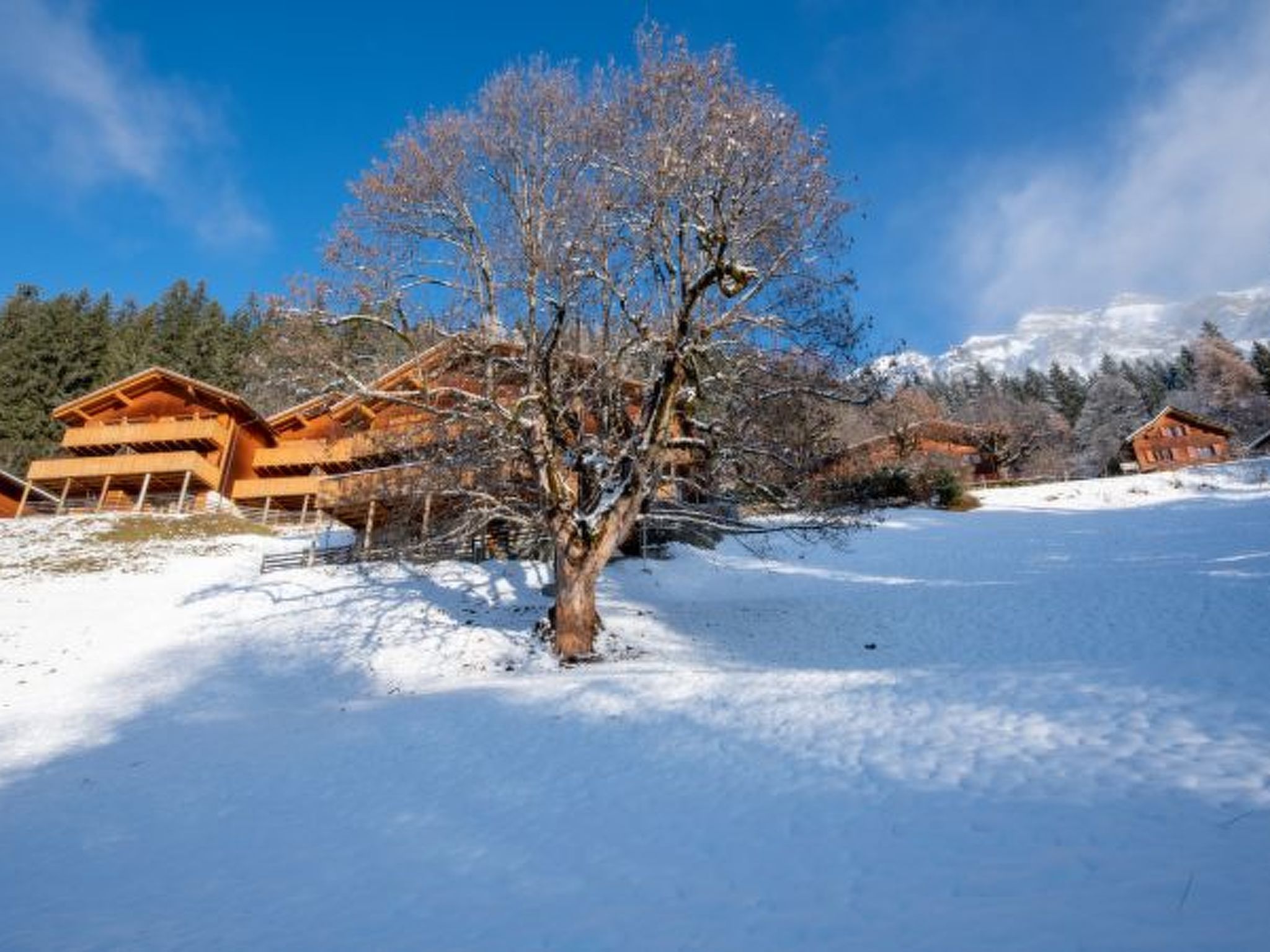 Photo of Racers Retreat 10