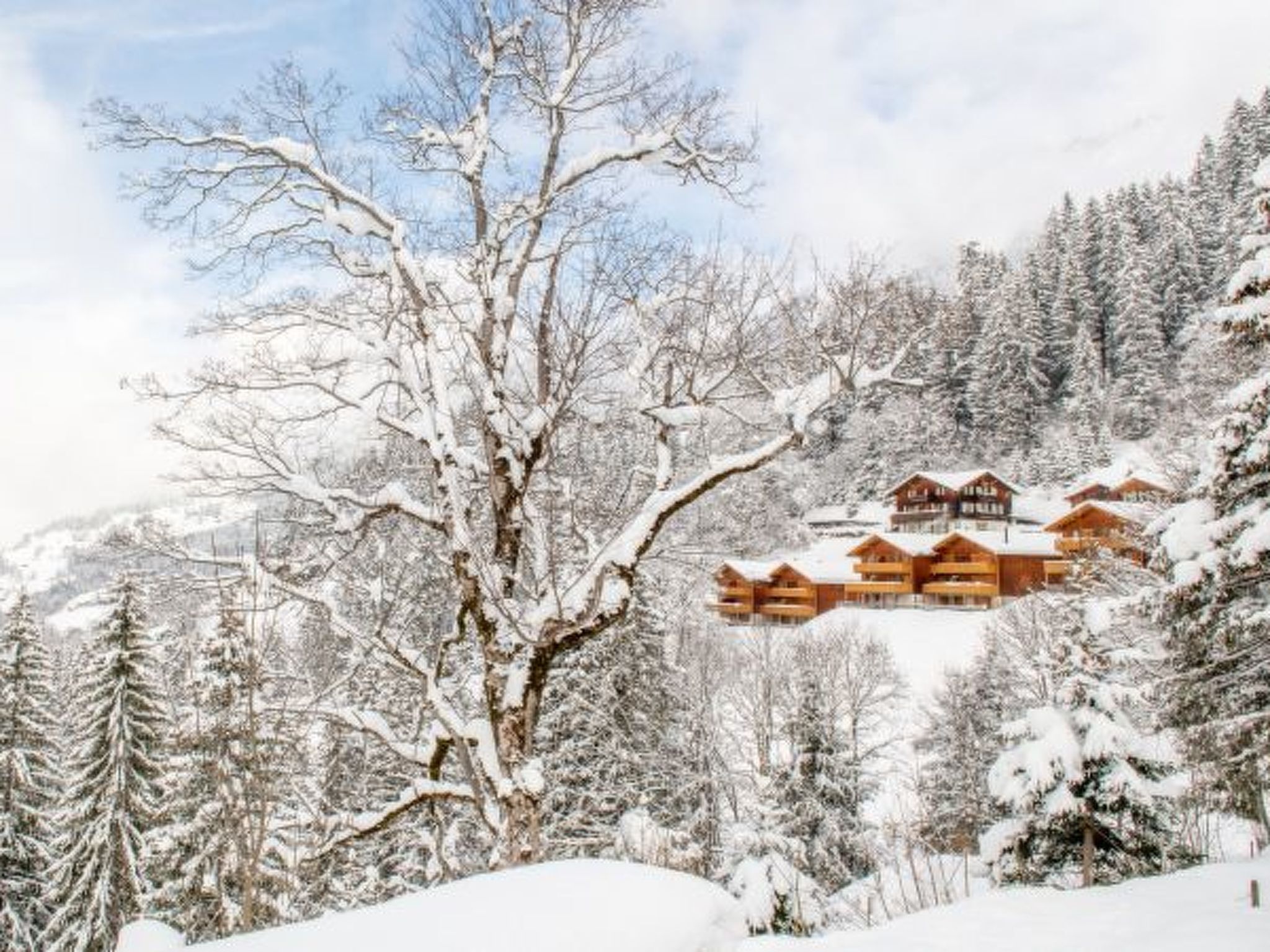 Photo of Racers Retreat 10