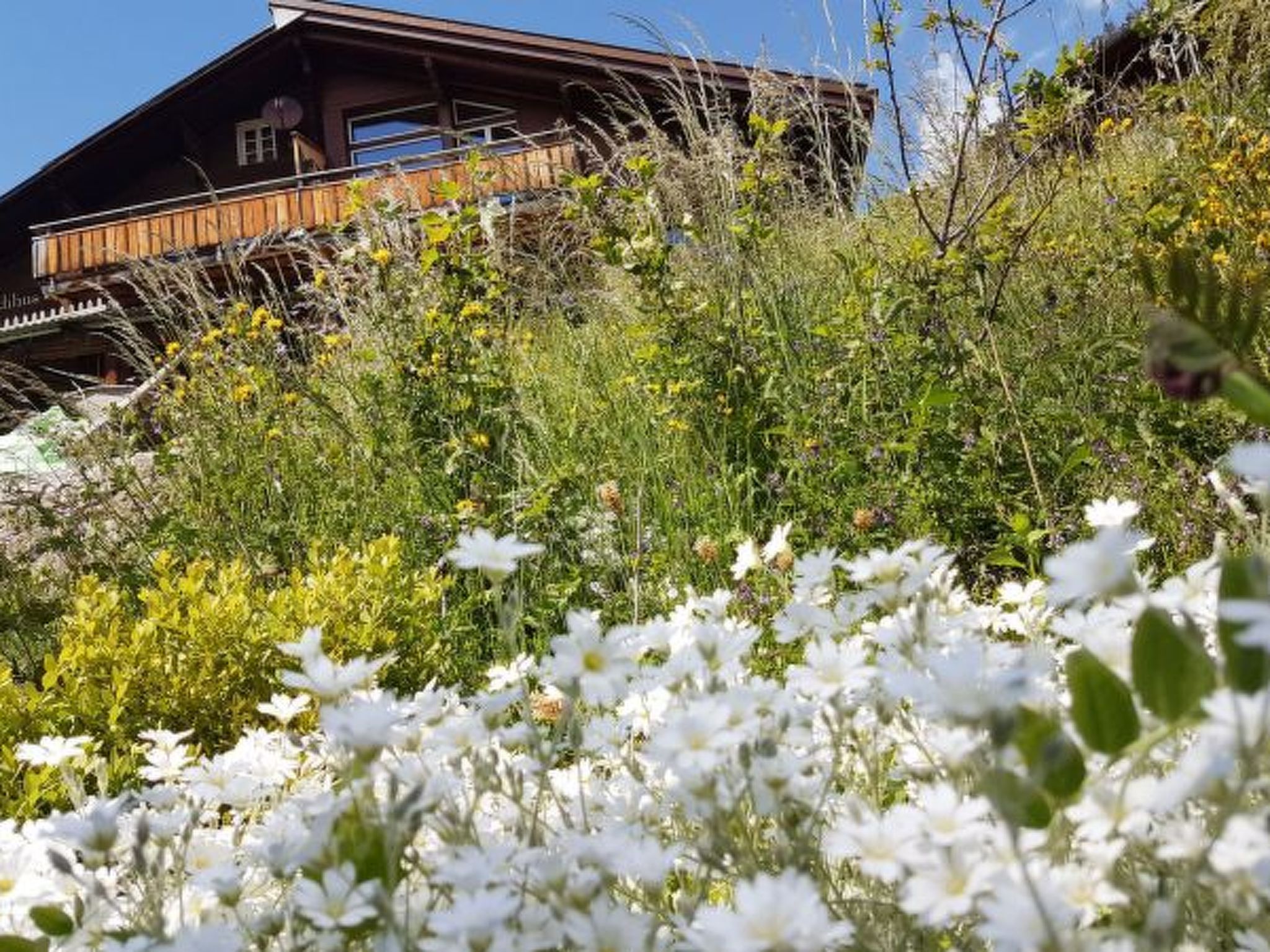 Photo of Chalet Ledibach