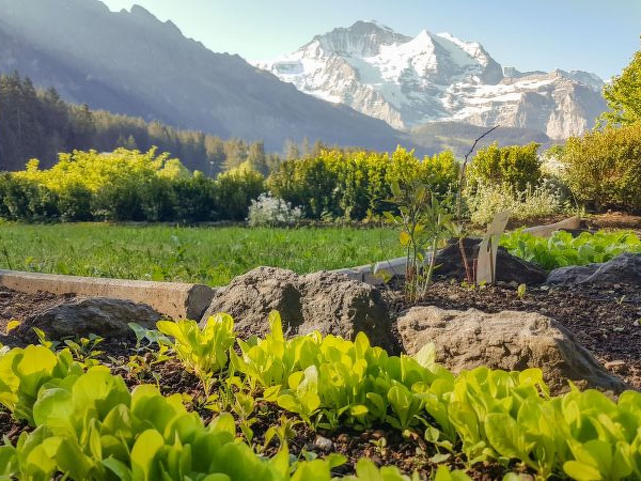 Photo of Chalet Ledibach