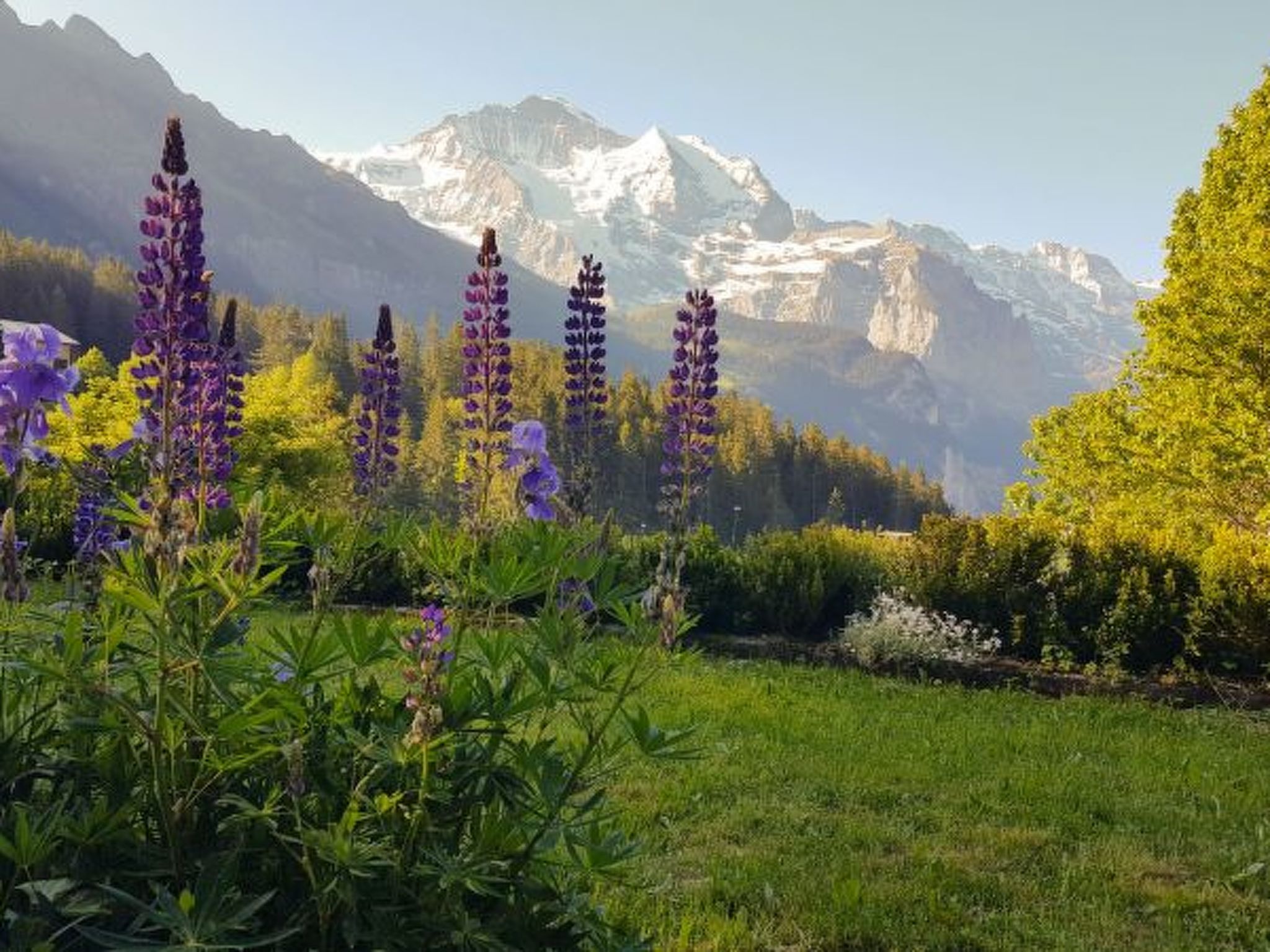 Photo of Chalet Ledibach