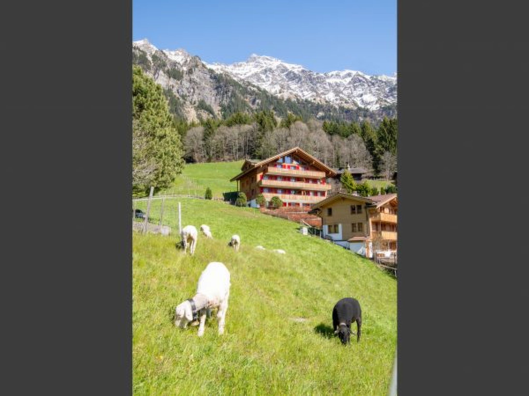 Photo of Chalet Bärgsunna