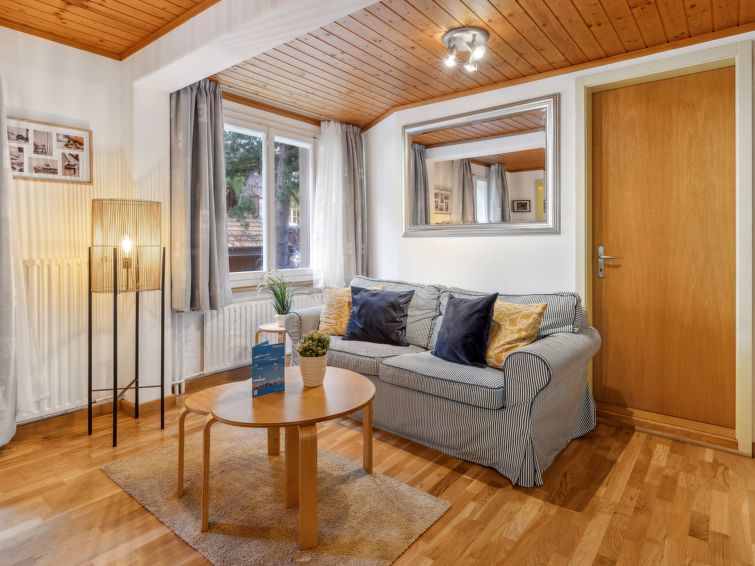Bergzicht en wellness in appartement Bristol Apt.18 in Wengen in Wengen