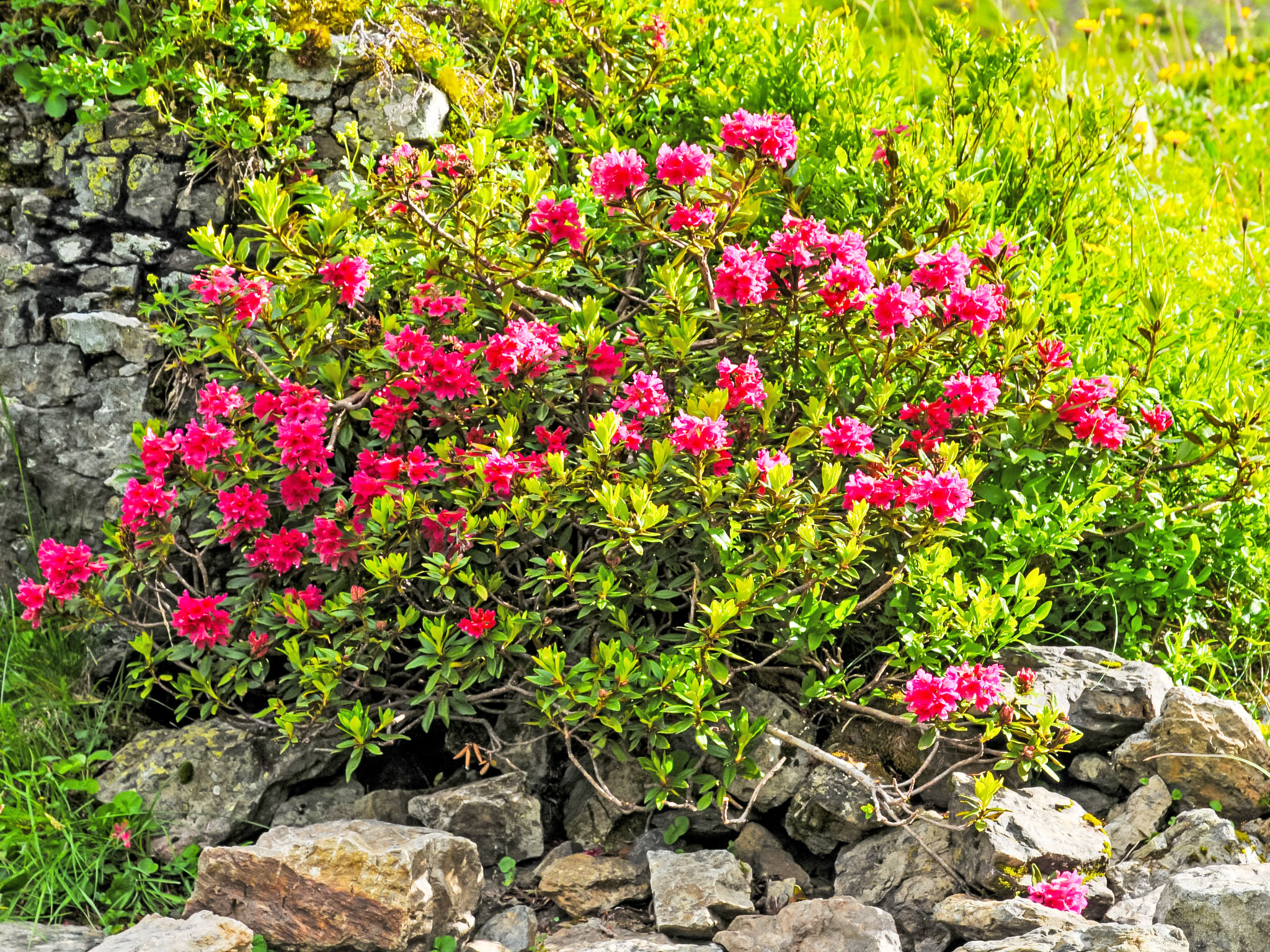 Bristol Apt. M - Binnen