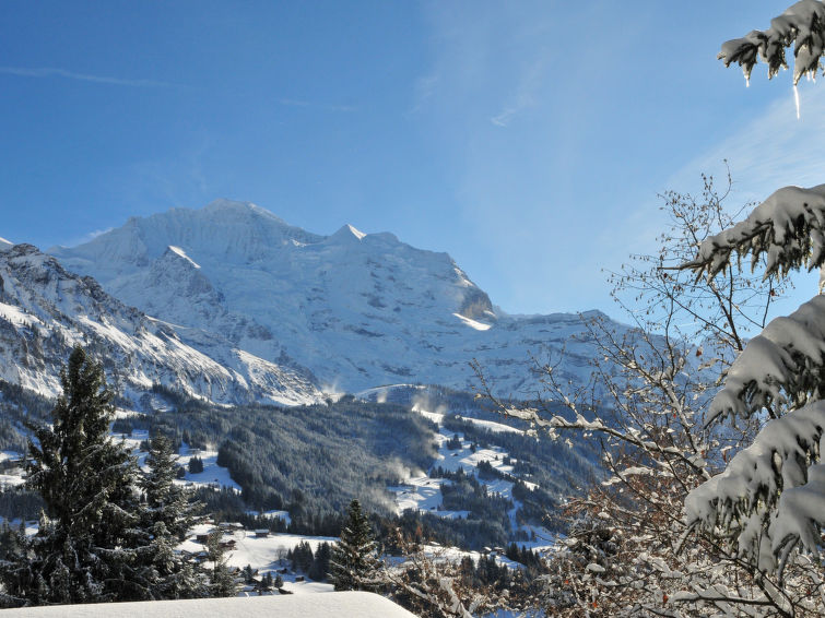 Photo of Jungfrau a d Ledi