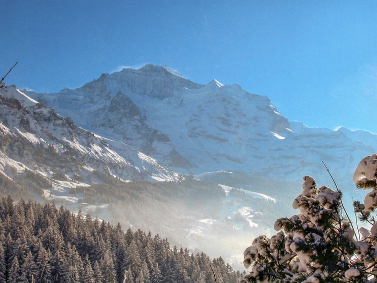 Photo of Jungfrau a d Ledi