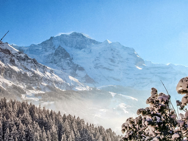 Photo of Jungfrau a d Ledi