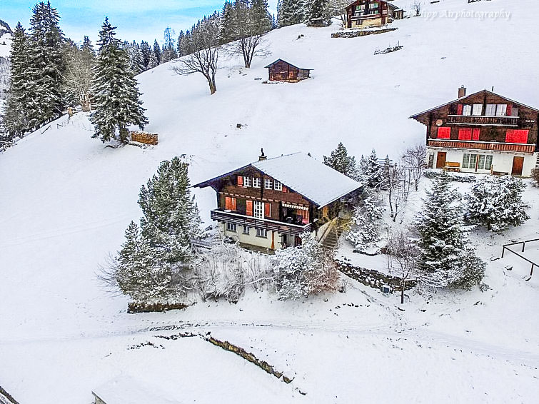 Jungfrau a d Ledi Chalet in Wengen