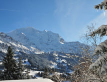 Appartement Eiger Residence Apt.H